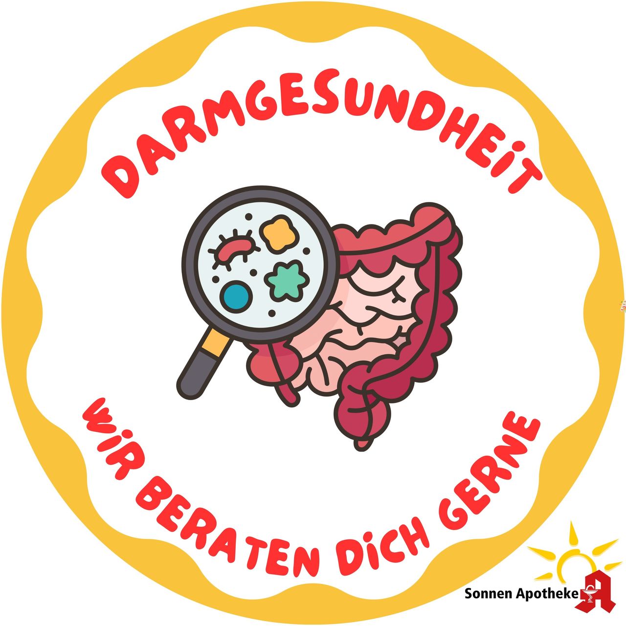 Darm-Bild